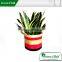 Stylish flower pots, flower pots wholesale, canvas flower bag