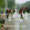 Aritificial green sculpture plastic plant statue artificial sculpture