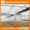 Heracles Trade Assurance vegetables multi-span greenhouse