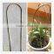 bamboo tonkin cane trellis for climbing plants
