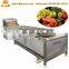 Industrial fruit washing machine/vegetable and fruit washing machine