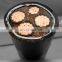70mm Underground Armoured Power Cables Insulated Conductor Wires Copper