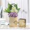 Modern Simple Light Luxury Electroplate Gild Gold Square Ceramic Vase For Shopping Mall Decor