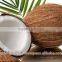 Brown Coconut