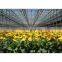 high quality multi-span glass greenhouse with hydroponic system for agriculture price