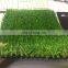 Cheap zhejiang artificial grass for football field