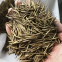 1KG New wholesale timber tree chinese phyllostachys bamboo seeds giant moso bamboo seeds for sale
