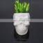 Wholesale Human Head Planters Mini Pots Succulents Balconies Small Ceramics Flower Pot For Halloween Diy Decoration