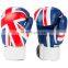 Custom Design Sublimated Printed Boxing gloves MMA Kick Boxing Gloves Punching Training gloves