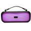 20w Nuevo altavoz de karaoke con Bluetooth, entrada auxiliar, soporte para USB flash, radio FM y múltiples opciones de reproducción. Sistema de música portátil de altavoces