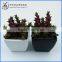 Mini artificial cactus plant with pot for indoor decoration