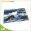 Lenticular printing hot sale 3d scenery pictures for gift