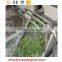 Vegetable and Fruit Bubble Washer / Bubble washing machine /Bubbling washer machine