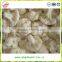Organic green vegetables fresh cauliflower