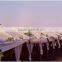 australia white pe film table grape vineyard waterproof rain cover