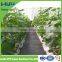 shade net green net nursery net garden net