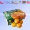 Apple/banana corrugated carton fruit box for packaging