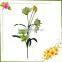 import silk yellow phalaenopsis orchids