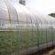 Cheap plastic film greenhouse for sale