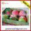 christmas gifts high quality christmas decor plastic balls ornament for christmas tree