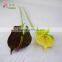 big real touch perserved anthurium flower look like dried flower