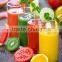 Aloe juice extractor machine