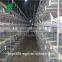 H type Broiler chicken cages for poultry farm