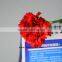 Multiple Colors Fresh Cut Carnation Flower For Flower Arrangement Red Carnation Flowers