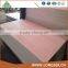 1220x2440x2.5/3.6/5/9/12/15/18mm Plywood Brand in Linyi Shandong China