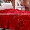 Winter blanket bed sheets raschel blanket double layer mink blanket