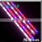 New product looking for distributors cheap led strip grow lights for greenhouse used