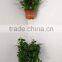 Adjustable metal bracket for single square / rectangular flowerpot 5" to 10"