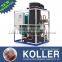 10Tons Hot Sale Tube Ice Machine For Drinking TV100