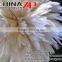 ZPDECOR Wholesale Cheap in Stock Samba Costumes Material NATURAL WHITE Schlappen Strung Rooster Feathers