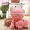 2016 Best Selling Fashion Lovely Customize Kid Toys and Gifts Wholesale Plush Toy Frog