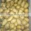 Fresh potato price per ton
