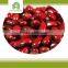 import export business opportunity red kidney beans import
