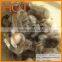 wool waste 19.5-34mic 40mm white and brown price 0.45-7.00/kg