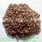 Natural and Bulk Packaging Raw Green Coffee Beans
