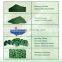 100% pure natural chlorella algae powder and spirulina powder