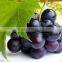 Grape Seed Oil for woman
