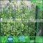 Triangle bend wire mesh fence with good price