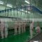 HALAL Automatic chicken Poultry Conveying System slaughtering machine Of poultry abattoir equipment