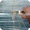 black wire material 2x2 galvanized welded wire mesh panels