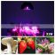 E27/E26 21W Par Led Grow Light Multi-Spectrum Hydroponics Plants Growing Lighting Indoor Graden Light