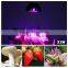 Full spectrum LED Grow lights 15W 21W 27W 45W 54W E27 LED Grow lamp bulb for Flower plant Hydroponics system AC 85V 110V 265V g