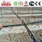 pe Irrigation Pipe