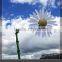 Custom Huge outside plastic sunflower billboard by vacuum forming