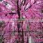 SJZJN 310 new Artificial Peach Tree Srtificial Sakura Flower Lobby Artificial Peach Blossom Tree