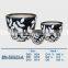 Vietnamese Ceramic Indoor Pot/ Indoor Planter BN-SC023-A